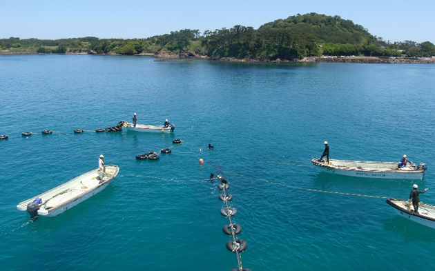 納島・寺島ケーブル布設工事