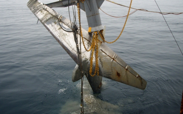 Recovery of fallen and sunken object